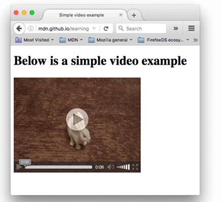 sample video link example_image