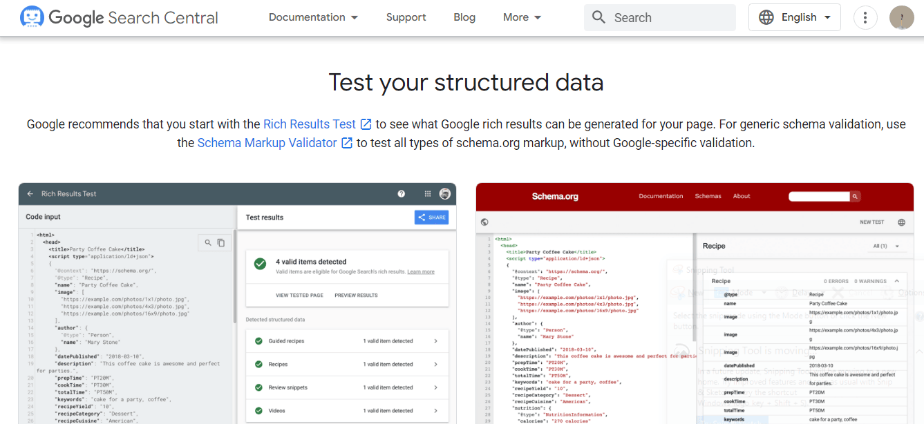 Structured Data Testing Tool_image