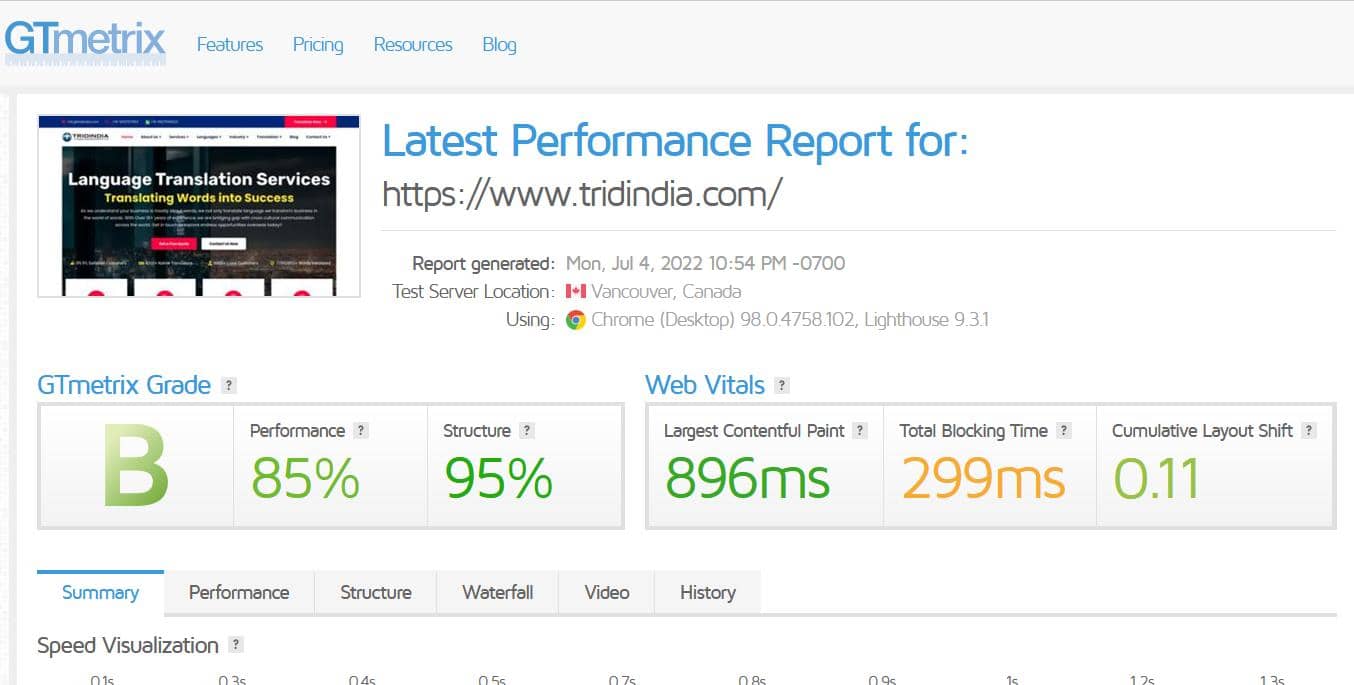 GTmetrix results for tridindia.com_Image